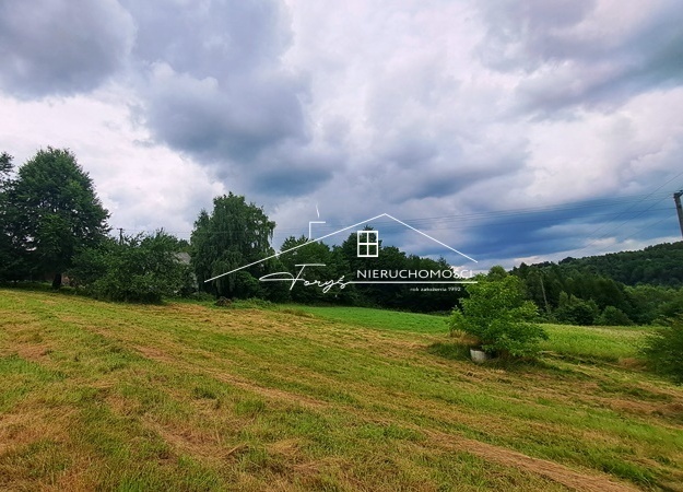 Na sprzedaż 2,96 ha gruntów z zabudowaniami w Nienadowej, gm. Dubiecko