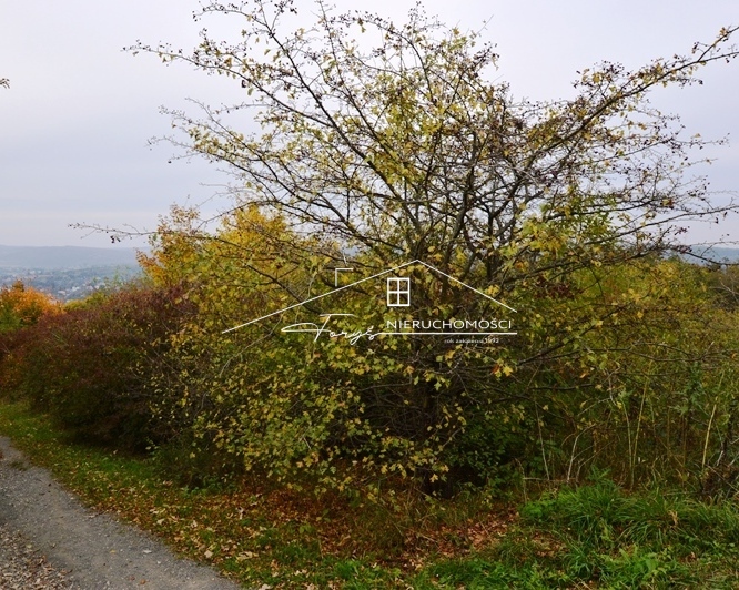 Widokowa działka 75,73a na sprzedaż  Przemyśl, okolice Kopca Tatarskiego