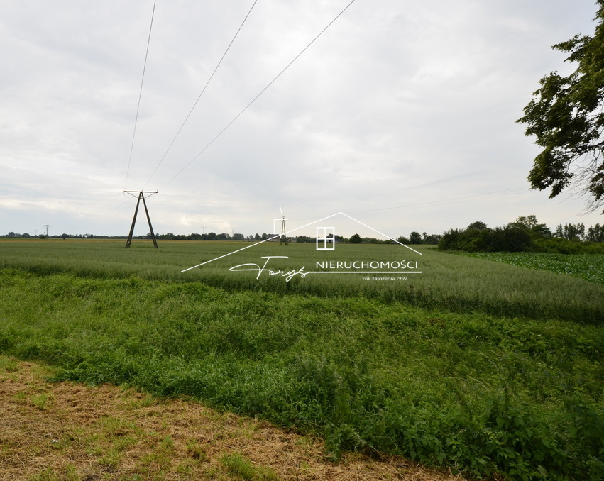 Płaski, regularny grunt zapewnia łatwe planowanie zabudowy.
