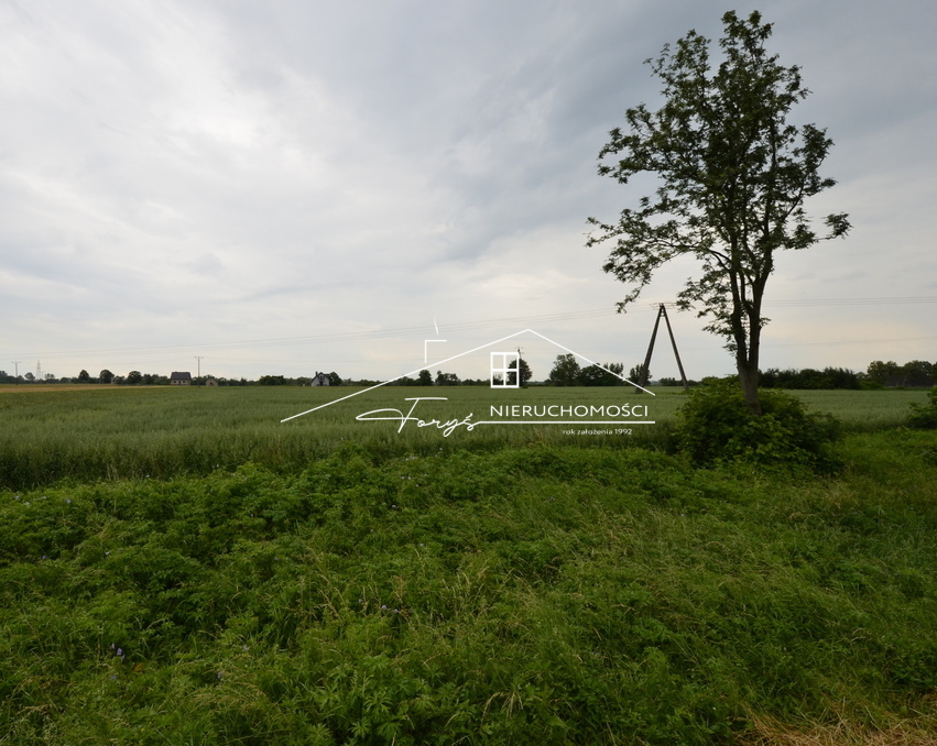 Brak MPZP daje elastyczne możliwości zagospodarowania działki.