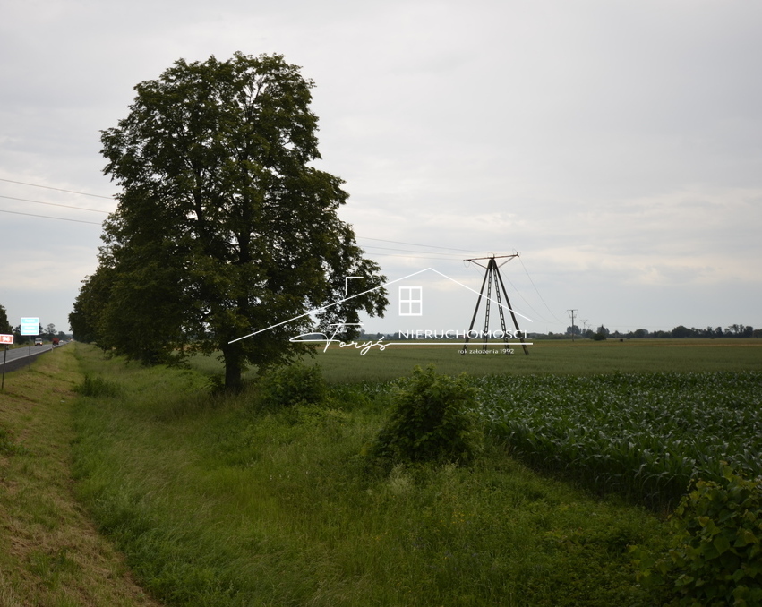 Dojazd drogą asfaltową gwarantuje doskonałą dostępność nieruchomości.