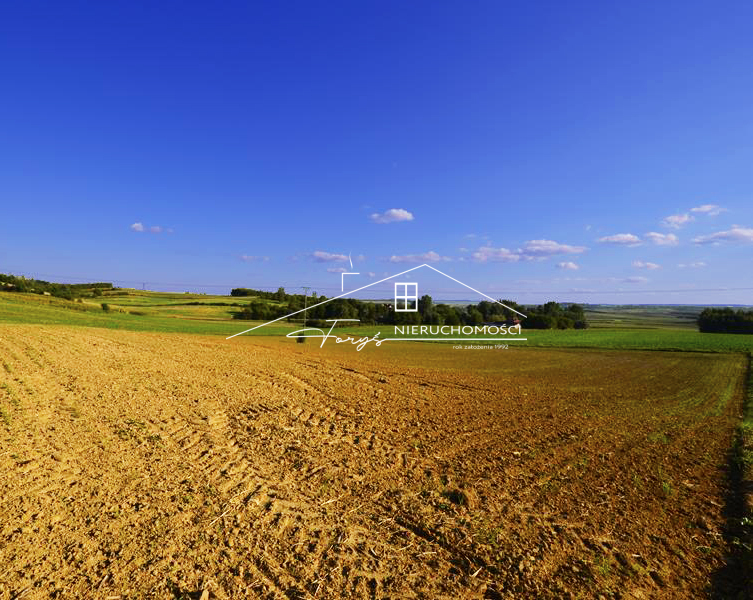 Na sprzedaż działka 83 a w Żurawiczkach  słoneczne wzgórze, możliwość podziału