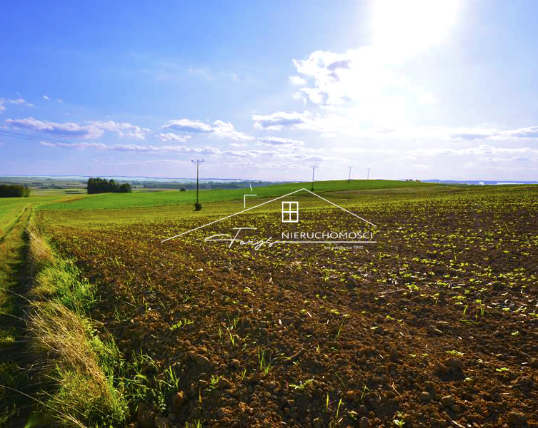 Na sprzedaż działka 83 a w Żurawiczkach  słoneczne wzgórze, możliwość podziału