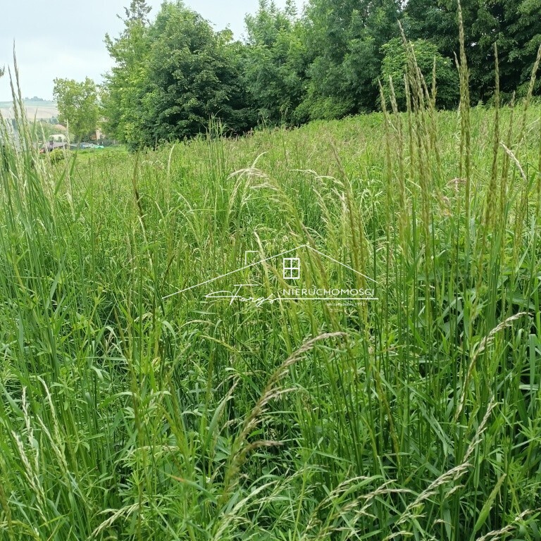 Działka budowlana 8 arów na sprzedaż  Ujkowice k. Przemyśla, spokojna okolica