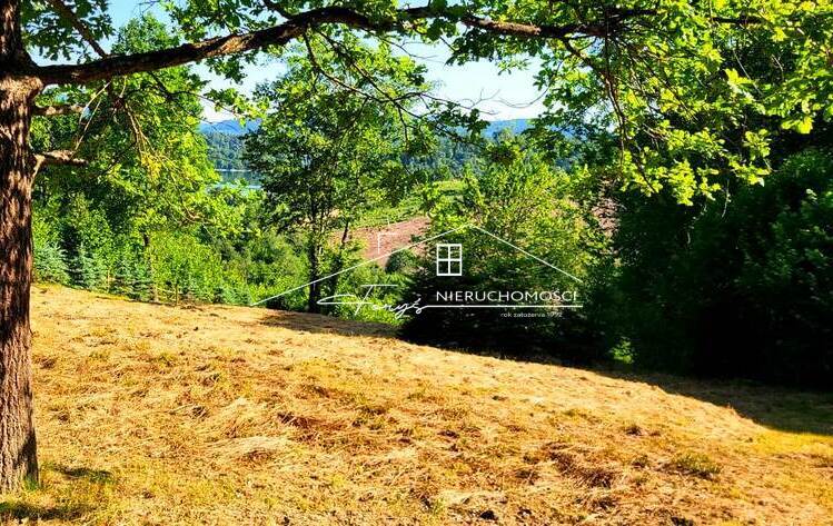 Z trzech stron otoczona wodami południowych zatok Zalewu Solińskiego.