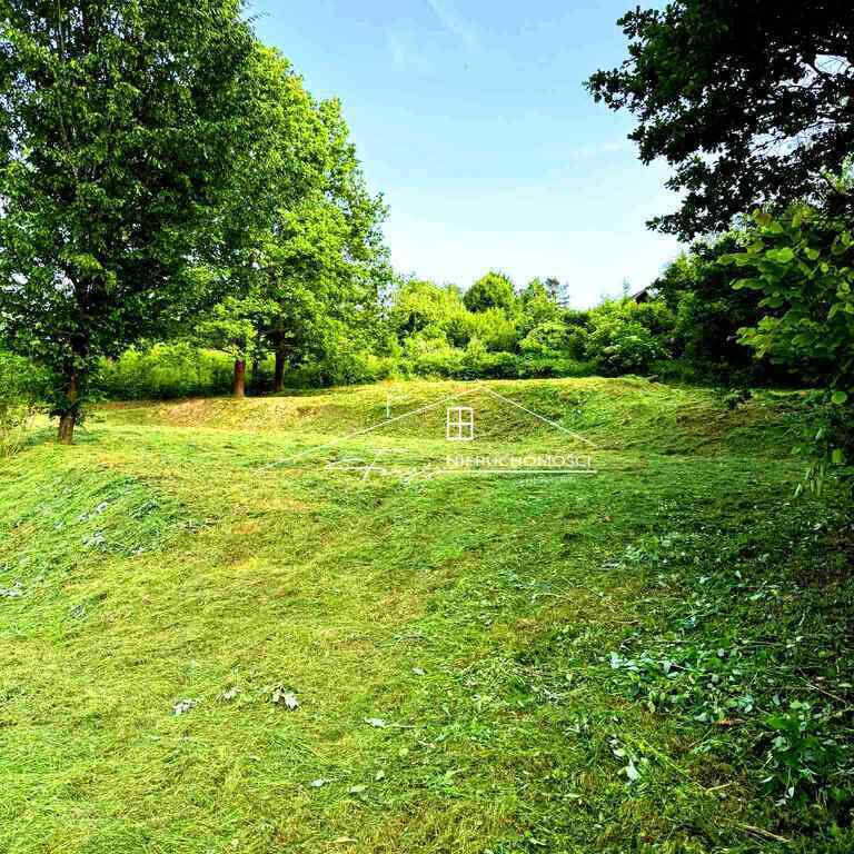 Jedyna taka oferta sprzedaży nieruchomości w Olchowcu z nowym MPZP.