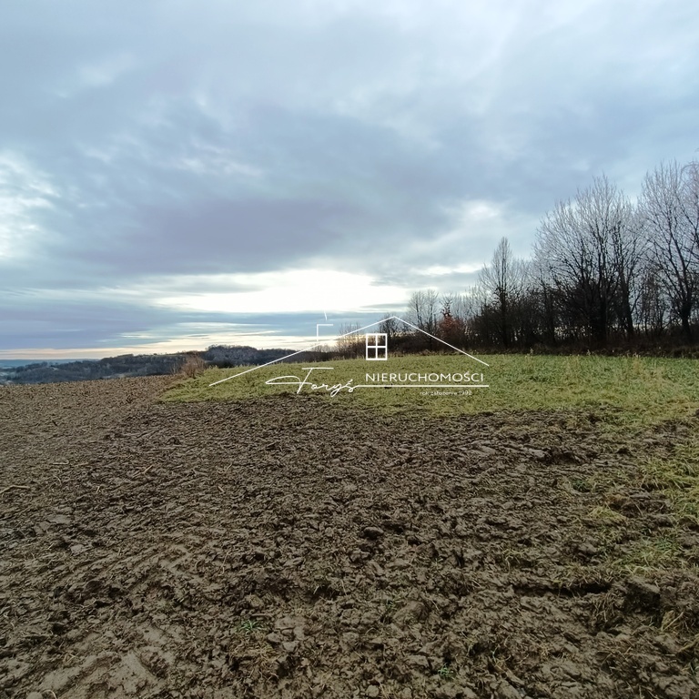 Teren objęty MPZP „Pikulice I” – zabudowa wielorodzinna z usługami.