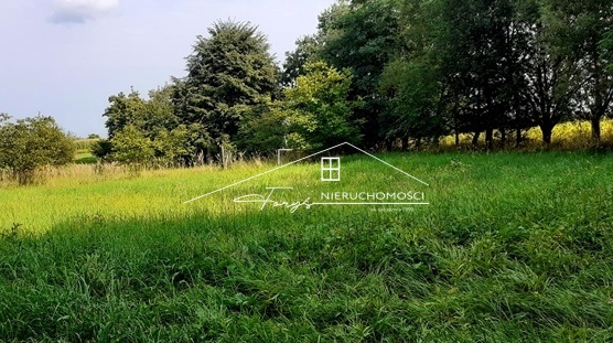 Działka z WZ pod zabudowę mieszkaniową jednorodzinną i zabudowania gospodarcze.