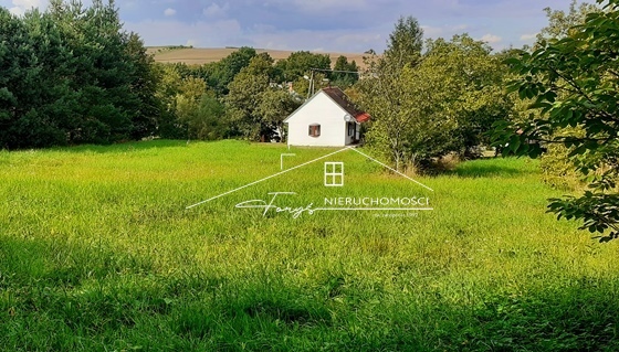 Możliwość zakupu sąsiedniej działki 94 ar – świetna opcja dla dewelopera.