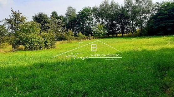 Otoczenie lasu i terenów zielonych przyciąga wymagających klientów.