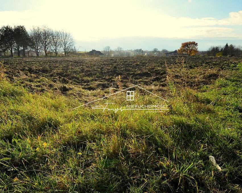 Działka z wydanymi warunkami zabudowy – bezproblemowa budowa domu.