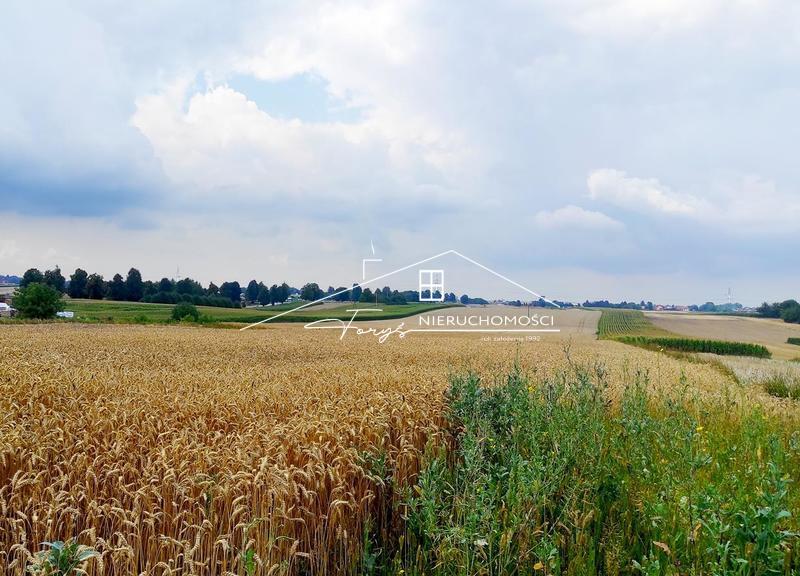 Działki budowlane na sprzedaż  Wierzbna k. Jarosławia, malownicza okolica, media w pobliżu