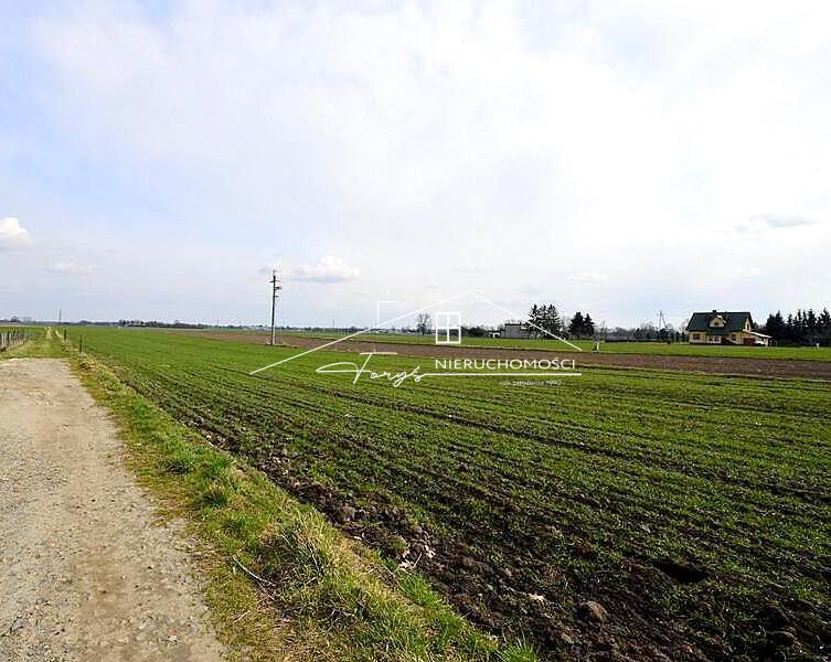 Działka budowlana 15 arów na sprzedaż  Wierzbna, gm. Pawłosiów, uzbrojona, blisko A4