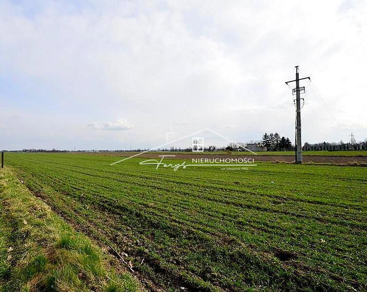 Wygodny dojazd drogą gminną asfaltową i wytyczoną drogą wewnętrzną.