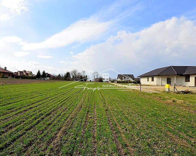 Doskonały, prostokątny kształt działki i płaskie ukształtowanie terenu.