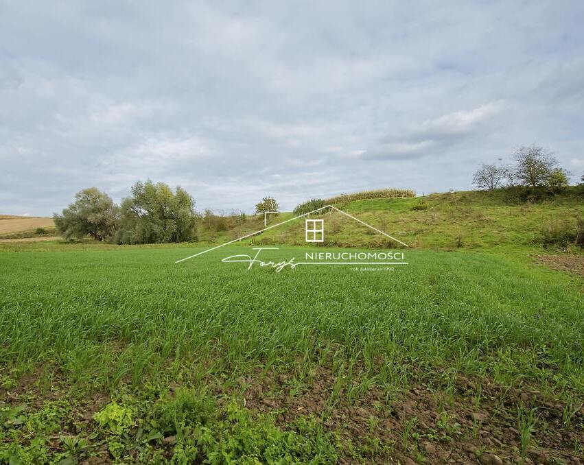 Działki budowlane z WZ  34 ary  Ostrów, gm. Radymno