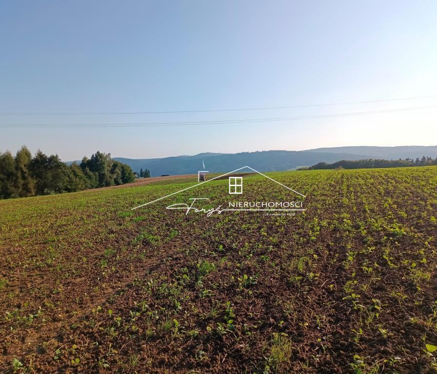 Działki budowlane w Reczpolu z WZ  widokowa lokalizacja  gm. Krzywcza, pow. przemyski