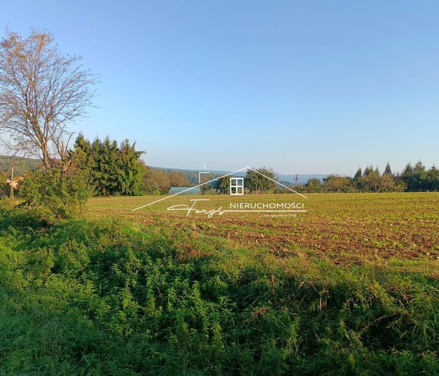 Działki budowlane w Reczpolu z WZ  widokowa lokalizacja  gm. Krzywcza, pow. przemyski