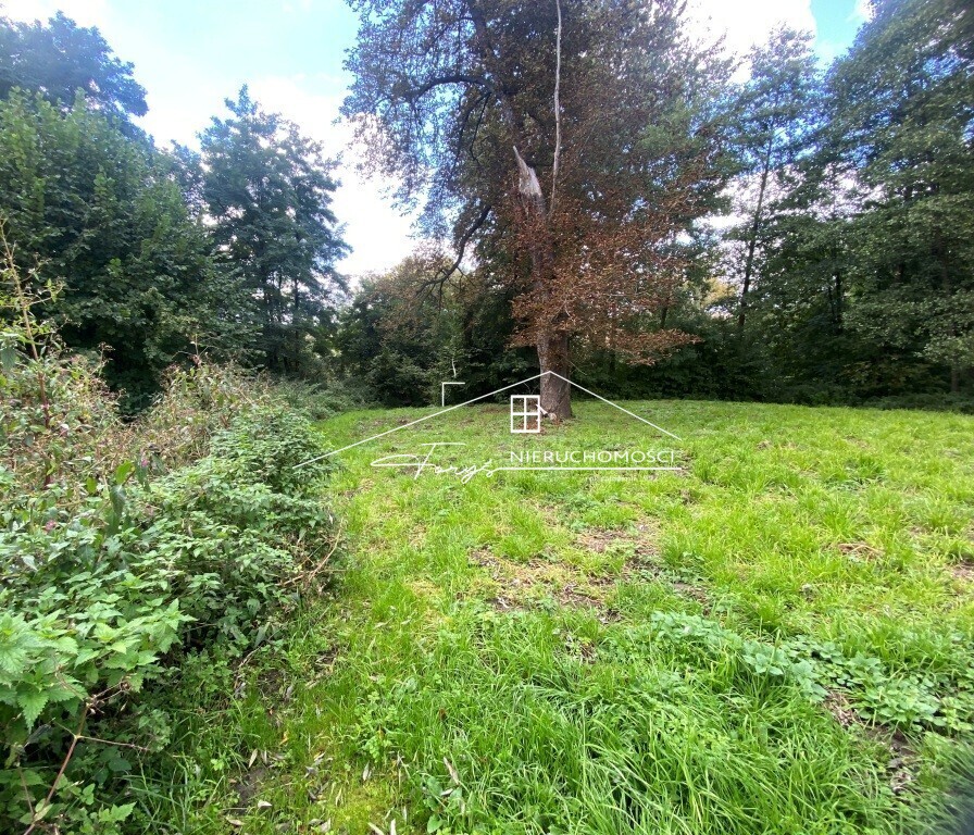 Bezpośredni dojazd z drogi asfaltowej zwiększa atrakcyjność nieruchomości.