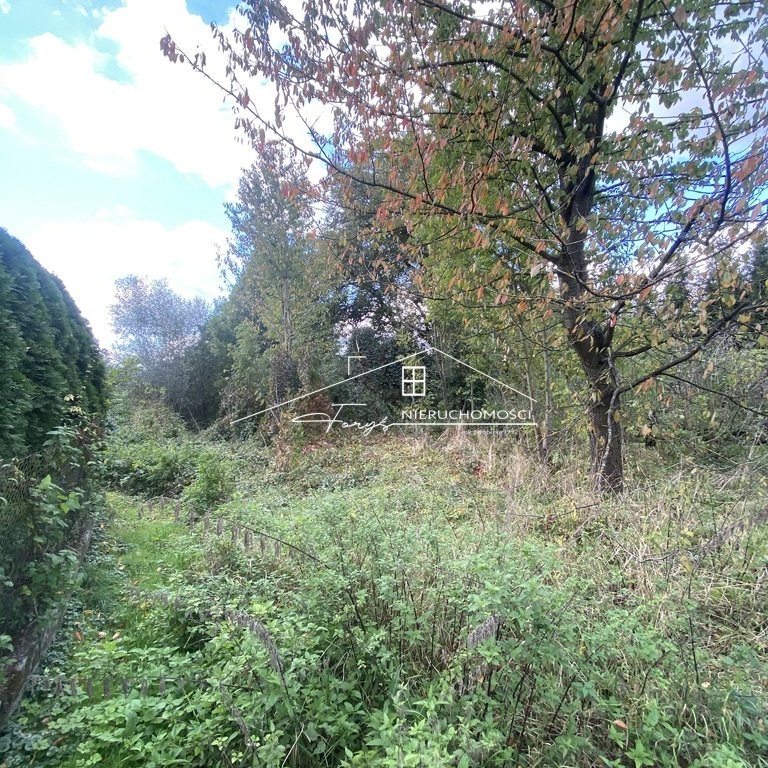 Druga działka nr 227 idealna jako ogród, rekreacja lub projekt specjalny.