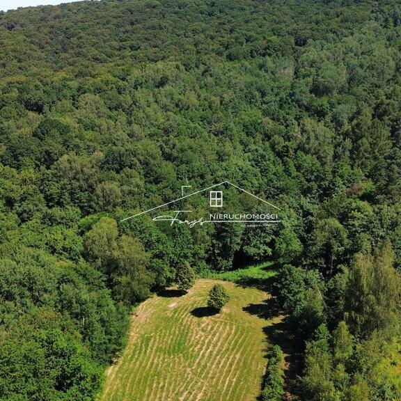 Inwestuj w nieruchomość z potencjałem zabudowy jednorodzinnej i rolnej.