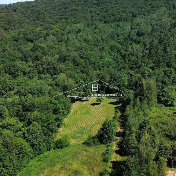 Działka z wydanymi warunkami zabudowy pod dom jednorodzinny.