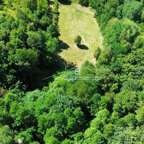 Zaprojektuj dom parterowy z poddaszem w otoczeniu zieleni i spokoju.