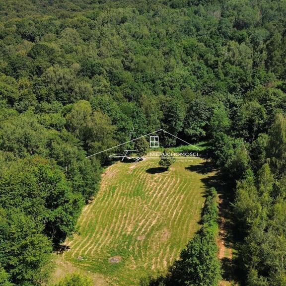 Spokojne sąsiedztwo nowych domów jednorodzinnych sprzyja komfortowi.