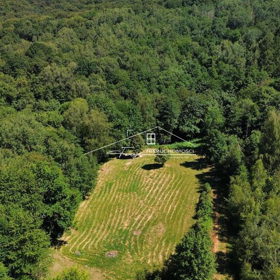 Blisko natury, a jednocześnie z dobrym dostępem do udogodnień.