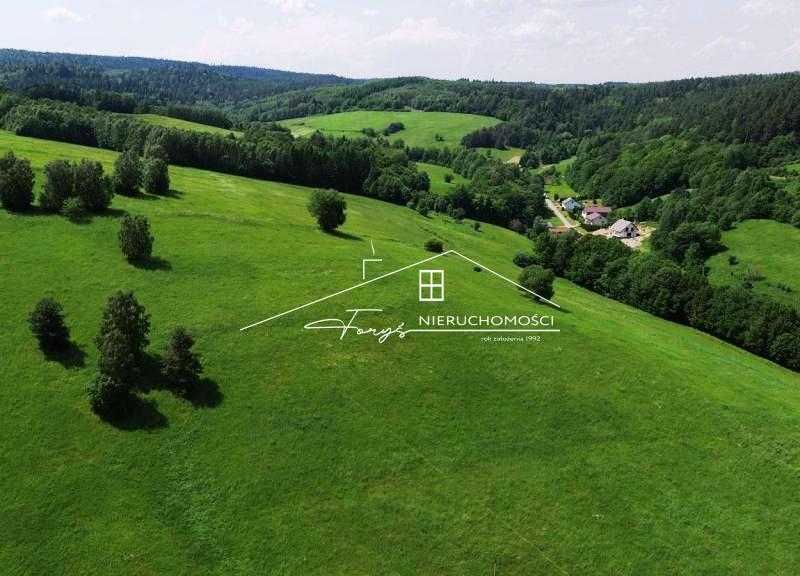 Działka z dojazdem przez cały rok, idealna pod dom jednorodzinny.