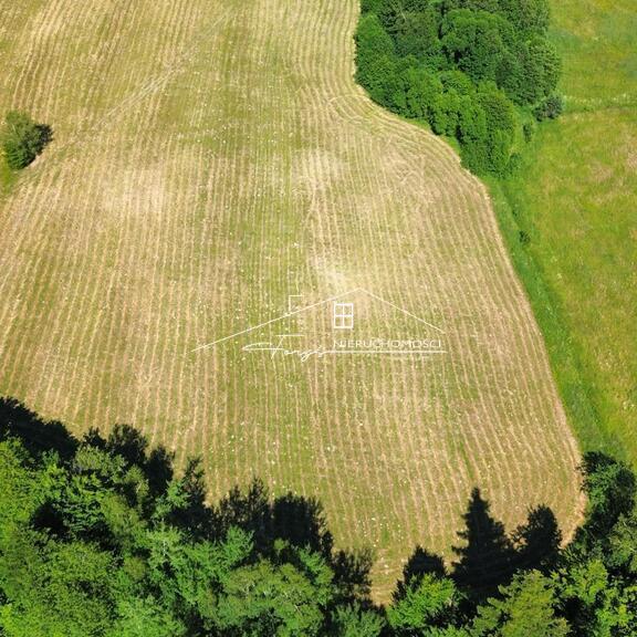 Łodzinka Górna: cisza, spokój i rosnący potencjał turystyczny.