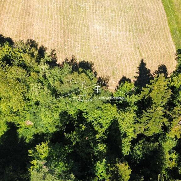 Zaprojektuj dom jednorodzinny i budynek gospodarczy pod swoje potrzeby.