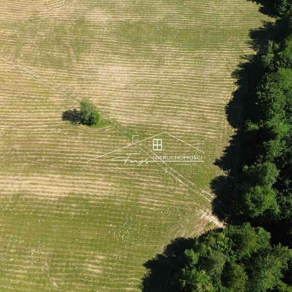 Grunty orne, pastwiska i lasy – stwórz ogród, siedlisko lub agroturystykę.