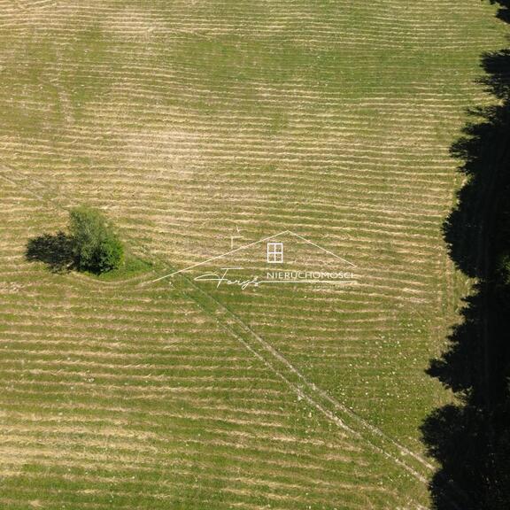 Blisko Arłamowa i Bieszczad – świetna baza pod wynajem krótkoterminowy.