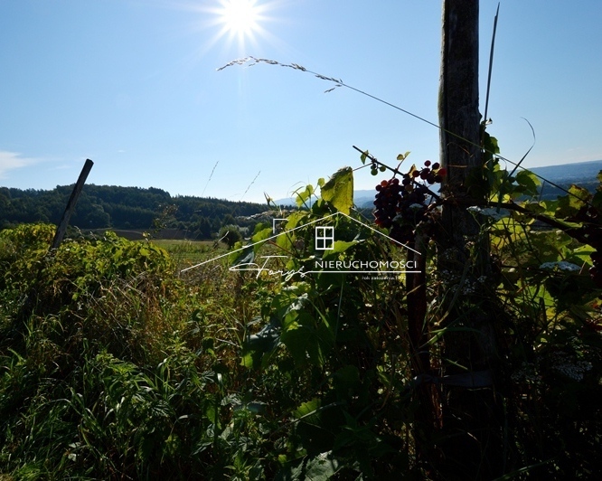 Sprzedaż nieruchomości w jednej z najpiękniejszych części Podkarpacia.