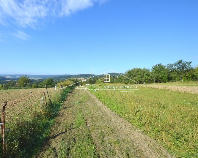 Idealne miejsce pod dom z ogrodem lub kameralne siedlisko.