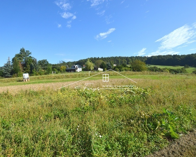 Rozległe tereny zielone, wzgórza, lasy i pola wokół nieruchomości.