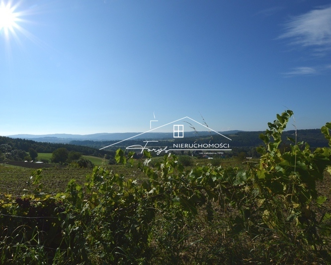 Możliwość budowy zagrody siedliskowej z hodowlą zwierząt.