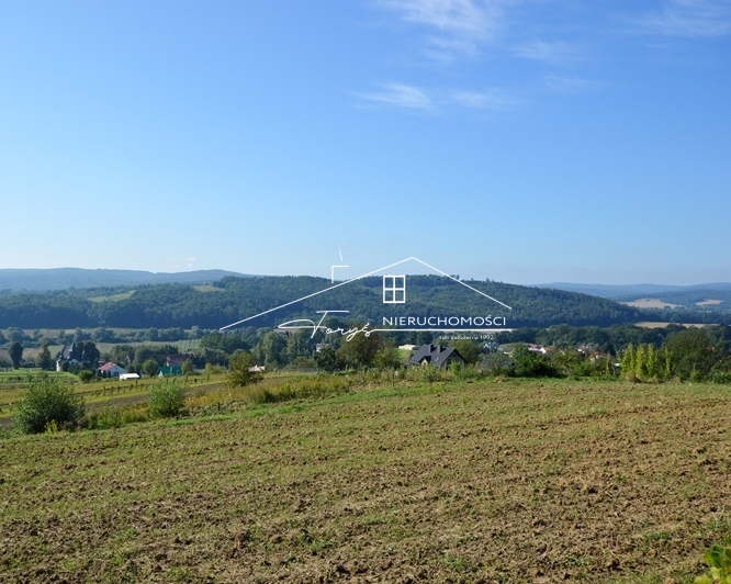 Atrakcyjna oferta dla inwestorów – opcja podziału na 12–14 działek.