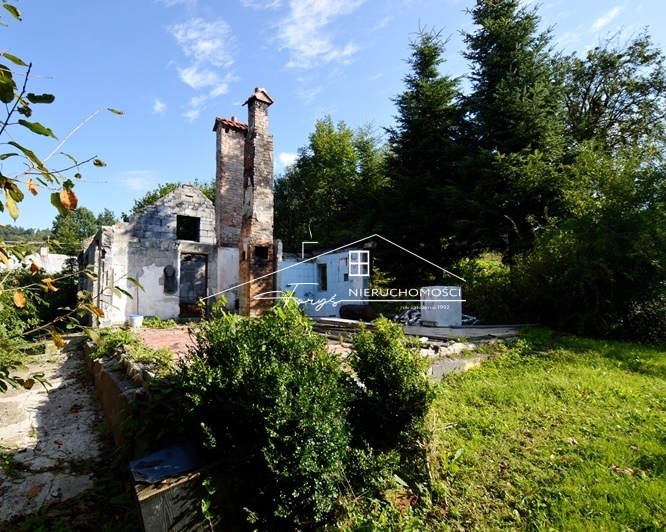 Grunty orne klasy III i IV oraz pastwiska – wysoka jakość ziemi.