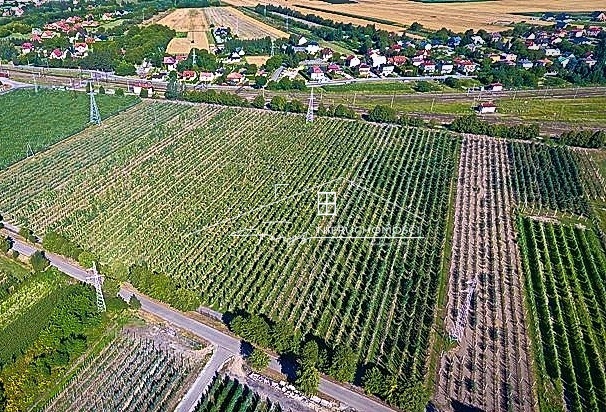 Strategiczne działki inwestycyjne 13,15 ha przy granicy RPUA  Żurawica, Podkarpackie