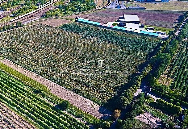 Strategiczne działki inwestycyjne 13,15 ha przy granicy RPUA  Żurawica, Podkarpackie