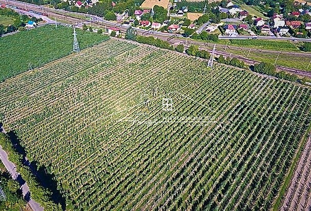 Strategiczne działki inwestycyjne 13,15 ha przy granicy RPUA  Żurawica, Podkarpackie