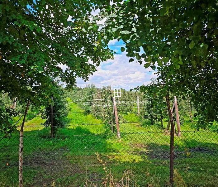 Strategiczne działki inwestycyjne 13,15 ha przy granicy RPUA  Żurawica, Podkarpackie