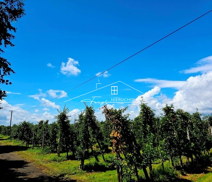 Strategiczne działki inwestycyjne 13,15 ha przy granicy RPUA  Żurawica, Podkarpackie