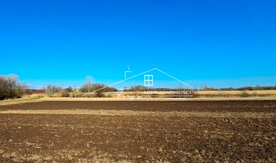 W przygotowaniu miejscowy plan zagospodarowania dla otaczających terenów.