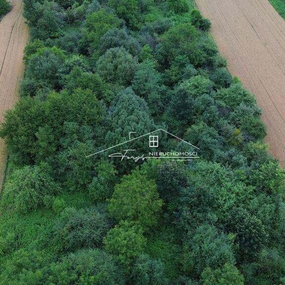 Działka inwestycyjna 8373m w Przemyślu  Specjalna Strefa Ekonomiczna, ul. Stawowa