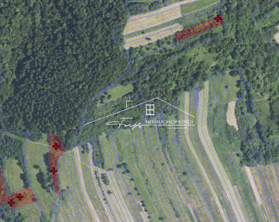 Nieruchomości rolne w Huwnikach  kompleks działek o powierzchni 0,97 ha w malowniczej okolicy