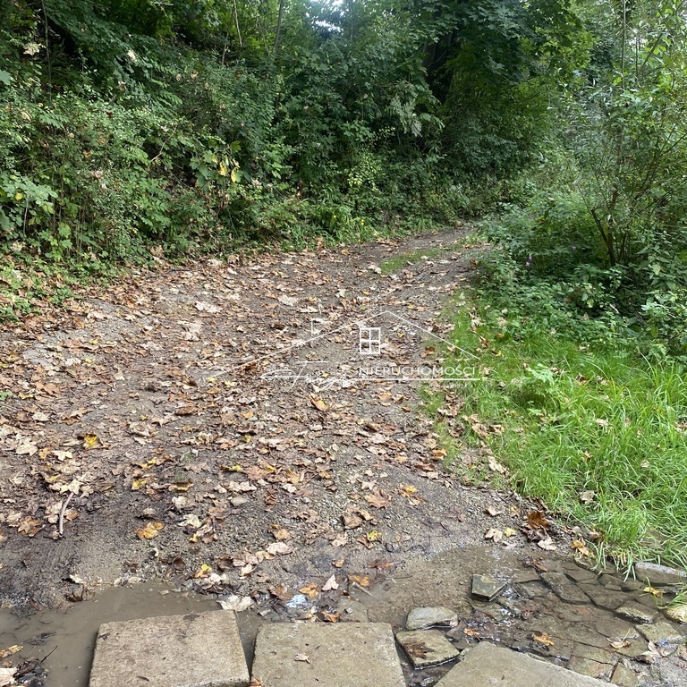 Nieruchomość na sprzedaż w Krasiczynie  dom z działką 7400 m blisko Przemyśla