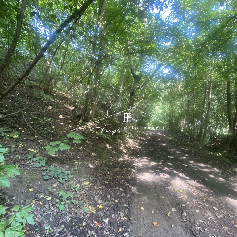 Idealna oferta dla osób ceniących spokój, ciszę i bliskość natury.